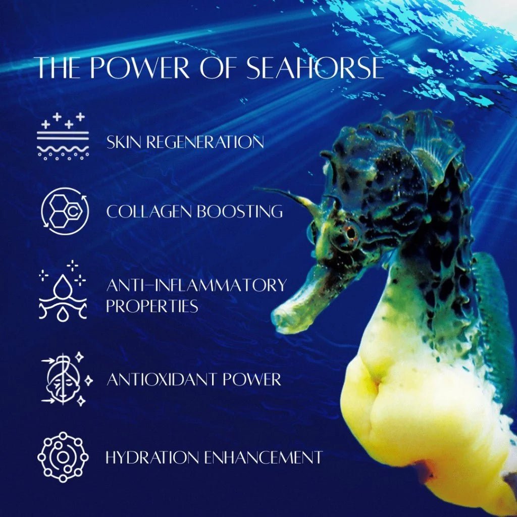 LA RARITA - Seahorse Antioxidant Cream