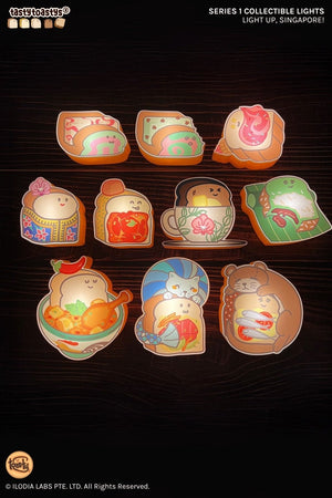 Collectible Lights Series 1 - Everjoy Collective