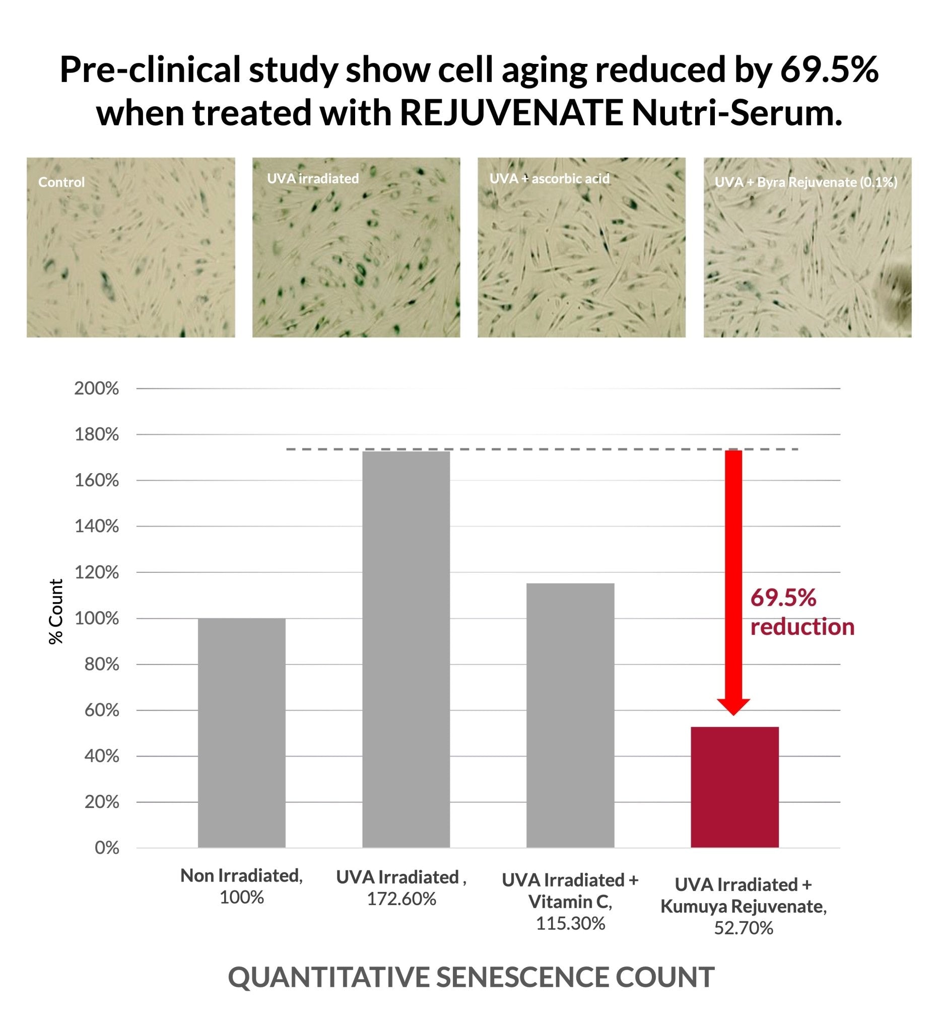 REJUVENATE Nutri - Serum Concentrate - Everjoy Collective